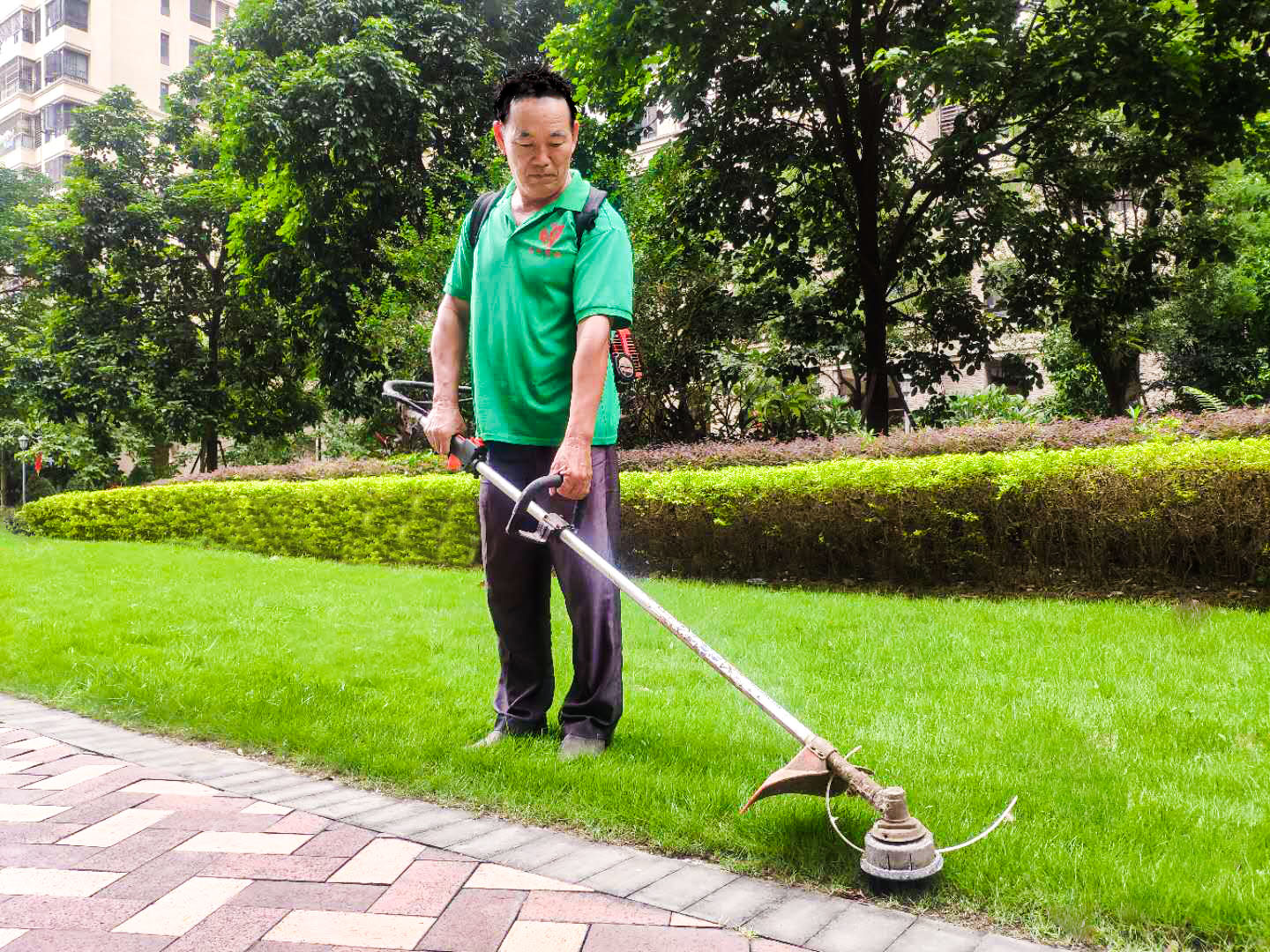小區(qū)綠化養(yǎng)護中草坪在旺長階段的管理 