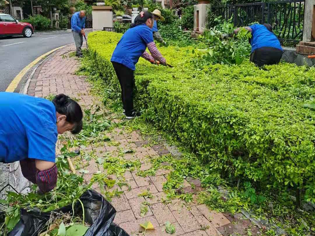 春季綠化養(yǎng)護(hù)花灌木的修剪