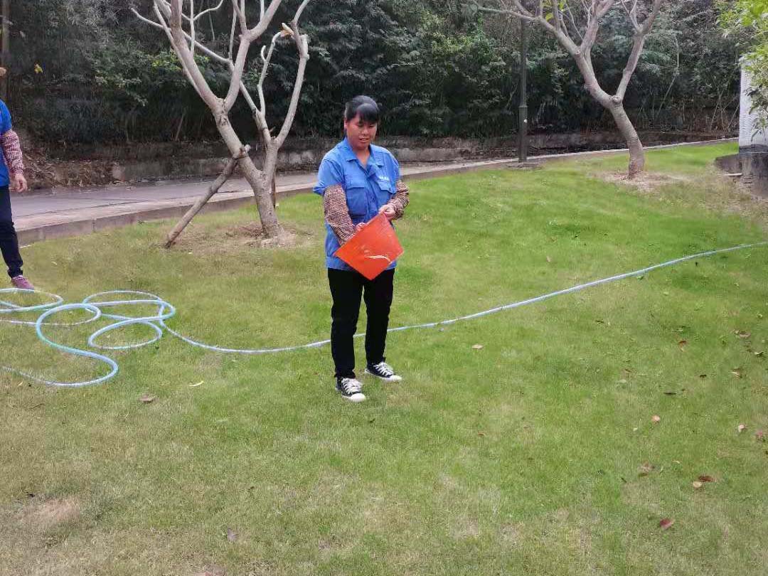 綠化養(yǎng)護施肥