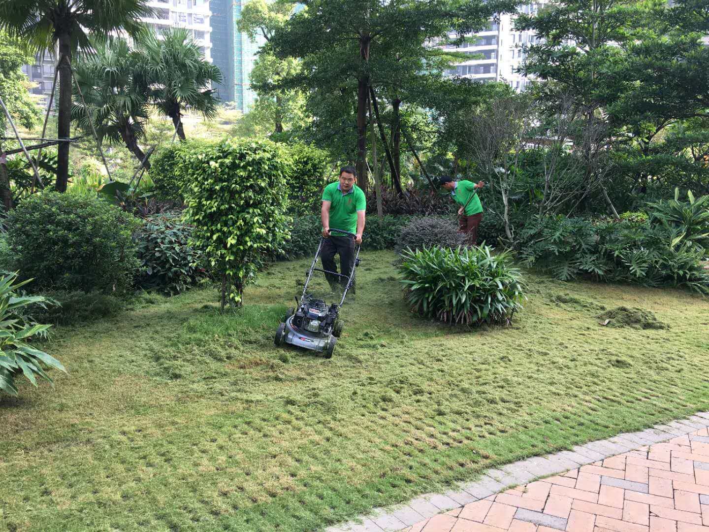 怡軒園林綠化公司二級(jí)養(yǎng)護(hù)標(biāo)準(zhǔn)