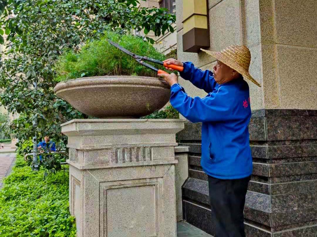 小區(qū)綠化養(yǎng)護(hù)修剪