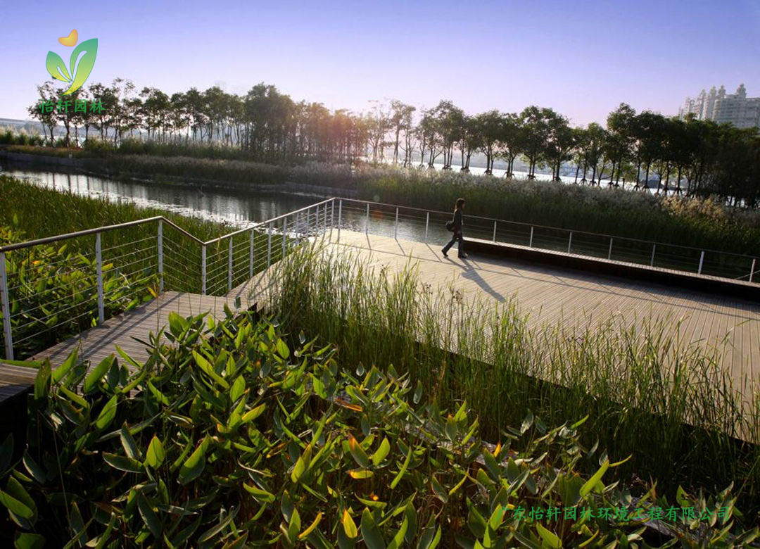 上海世博后灘公園景觀設(shè)計改造案例效果圖