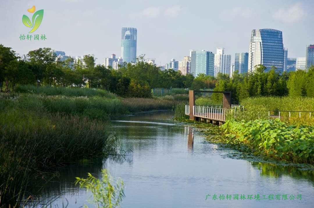 上海世博后灘公園景觀設(shè)計改造案例效果圖