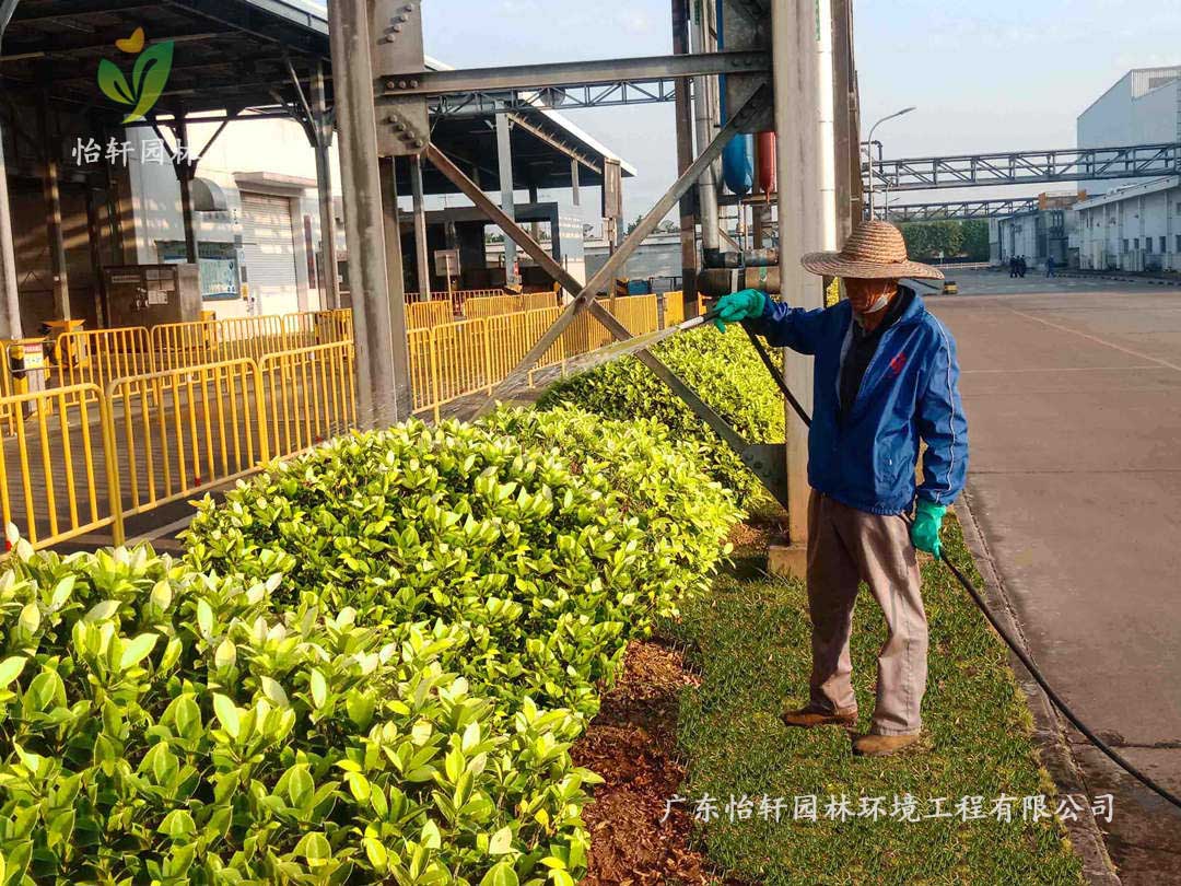 2佛山南海本田零部件制造有限公司工廠綠化養(yǎng)護