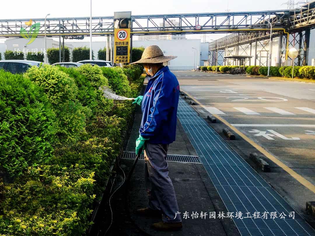 佛山南海本田零部件制造有限公司工廠綠化養(yǎng)護