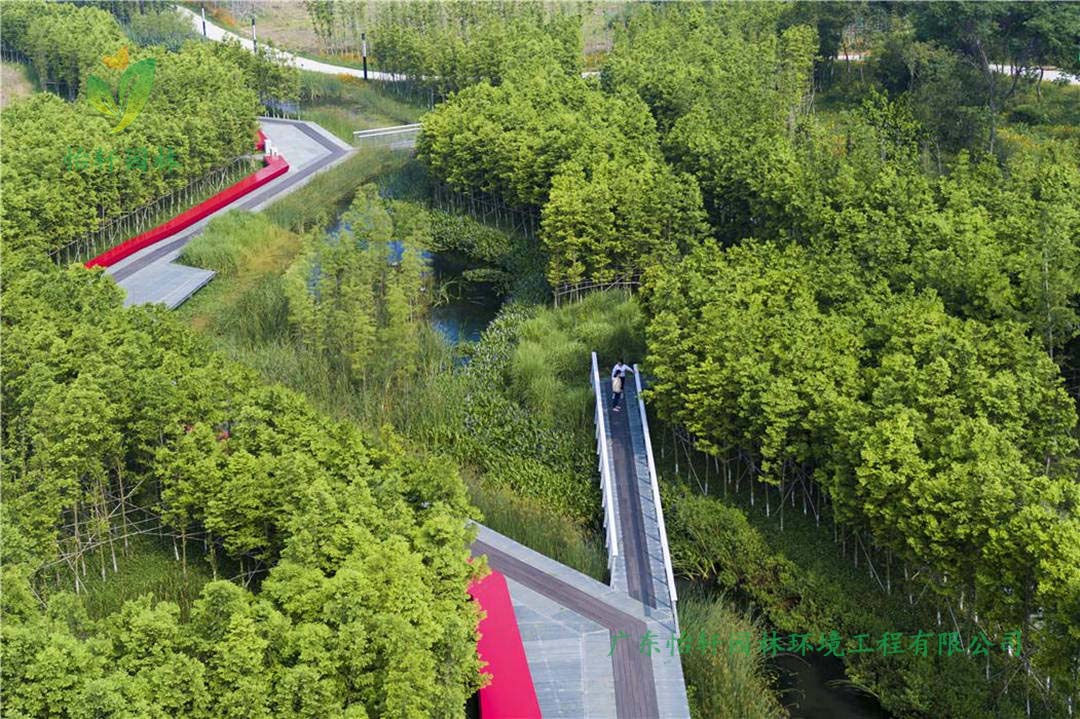 蘇州虎丘地區(qū)蘇州真山公園景觀設(shè)計工程效果圖