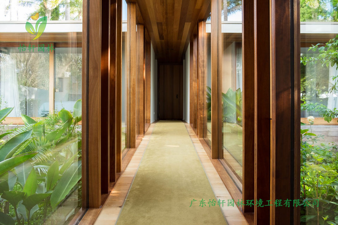 陽江海陵島海邊私人別墅花園綠化工程設(shè)計施工改造實景圖