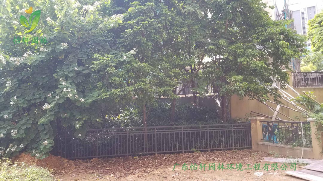 御金沙“鼎峰”山頂私人別墅綠化景觀設(shè)計施工前的現(xiàn)場圖
