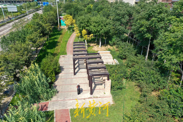 山東濟(jì)南將打造“推窗見綠、出門進(jìn)園”的綠化特色街區(qū)