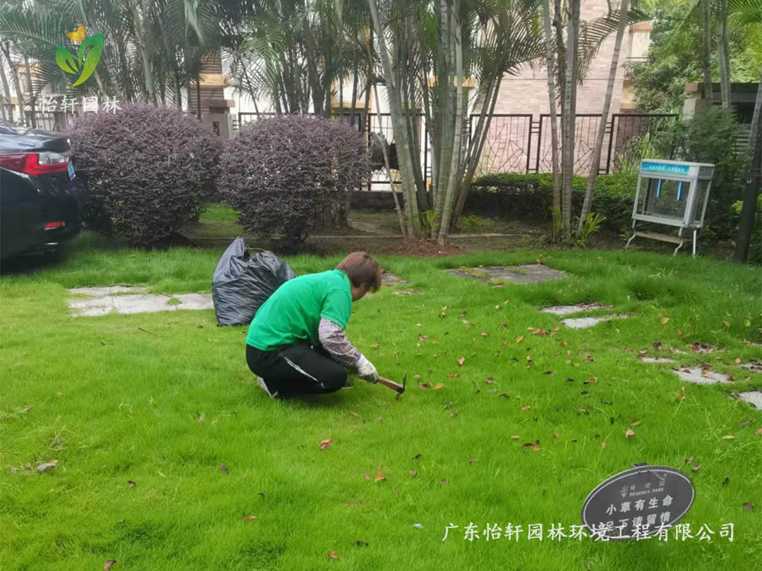 深圳龍華觀湖園別墅小區(qū)綠化養(yǎng)護(hù)