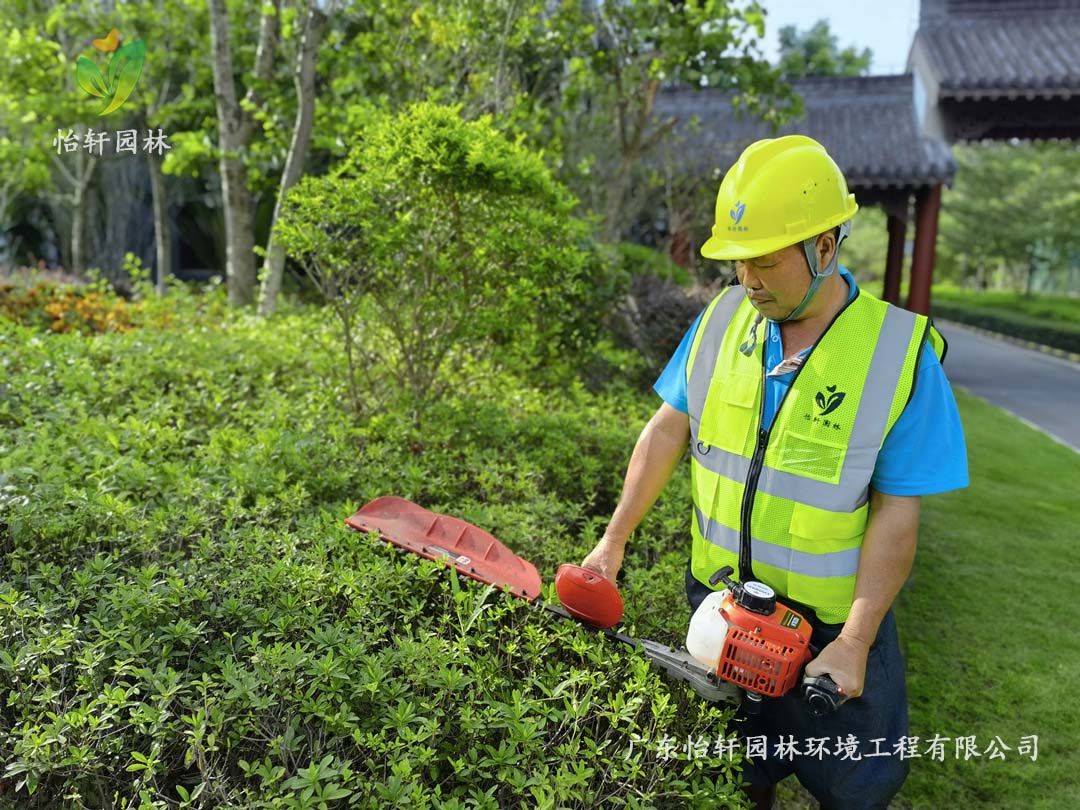 惠州綠色動(dòng)力廠區(qū)日常養(yǎng)護(hù)工作