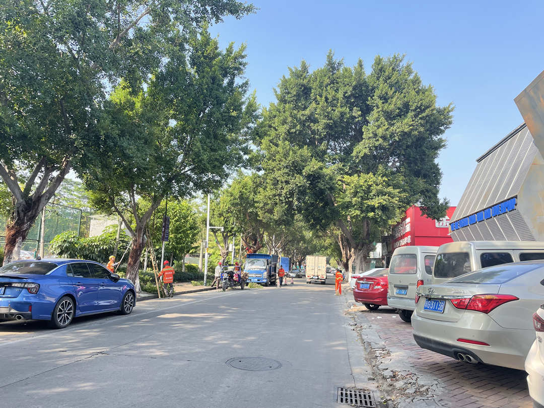 園林綠化公司工人正在修剪行道樹(shù)