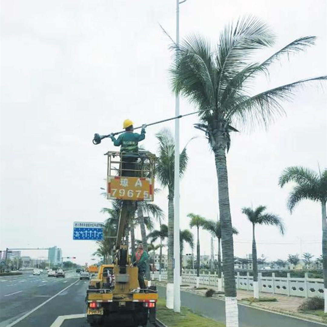 園林綠化工人在東營西路上修剪枯枝