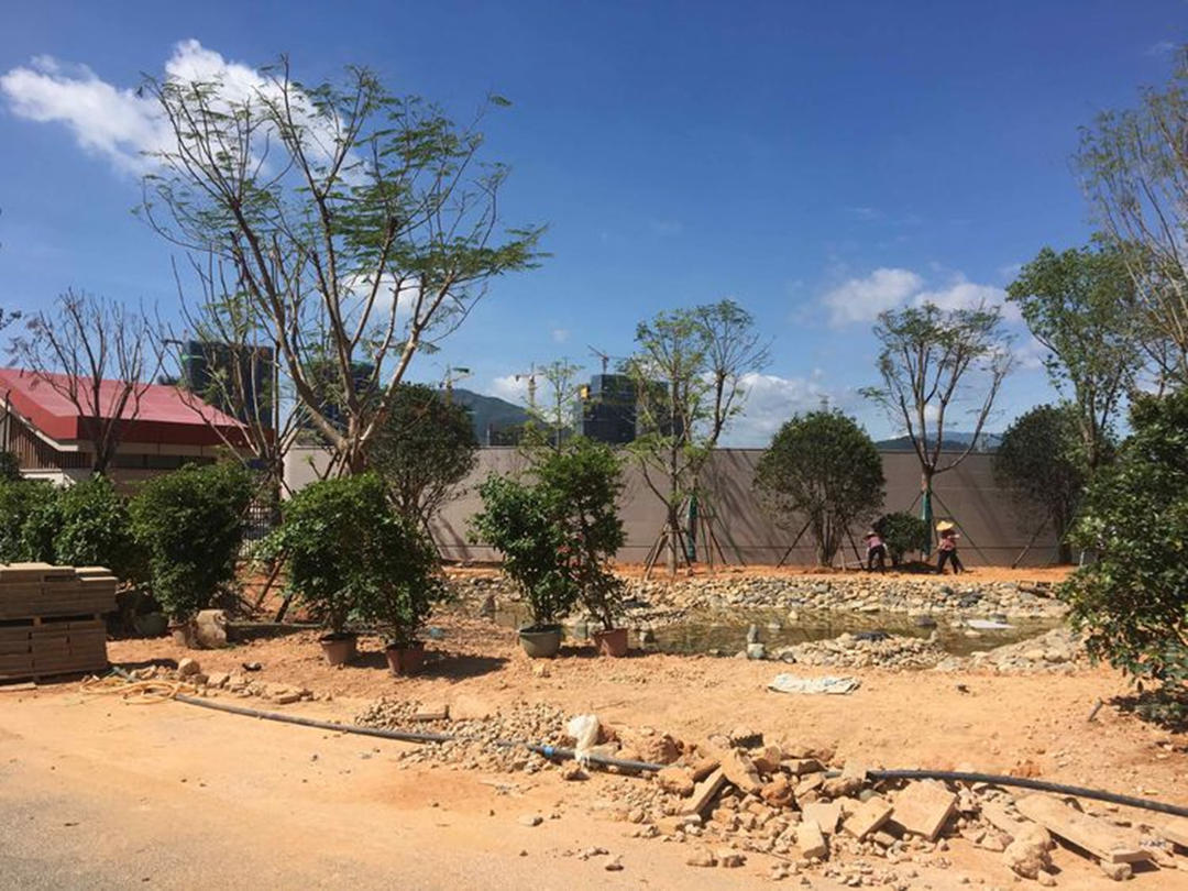 園林綠化工程施工現(xiàn)場管理