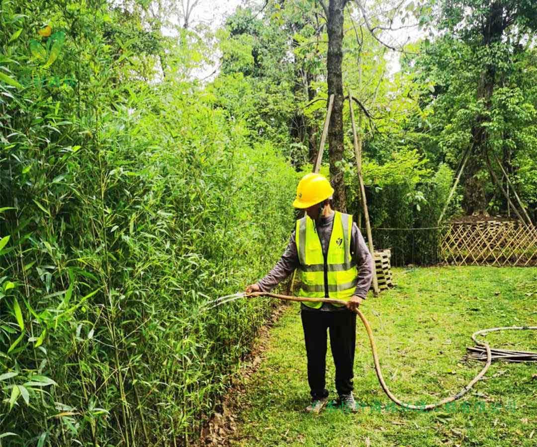番禺露營(yíng)基地綠化工程種植完成后澆水
