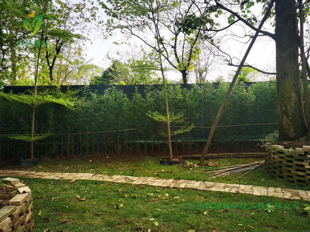 番禺露營(yíng)基地綠化工程種植完成后的效果展示