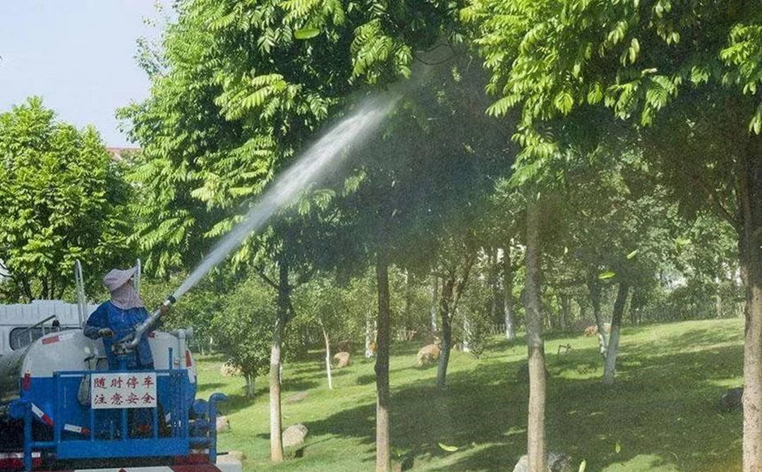 如何科學(xué)地澆水？園林綠化養(yǎng)護(hù)過程中就要注意這些事項(xiàng)！