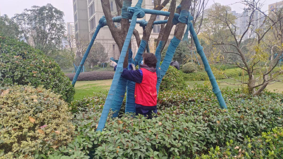 冬季園林綠化養(yǎng)護(hù)中植物的防護(hù)設(shè)施
