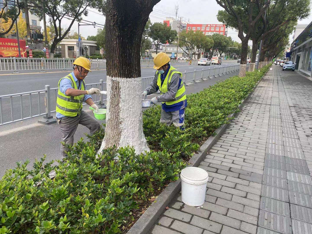 十一月園林綠化養(yǎng)護