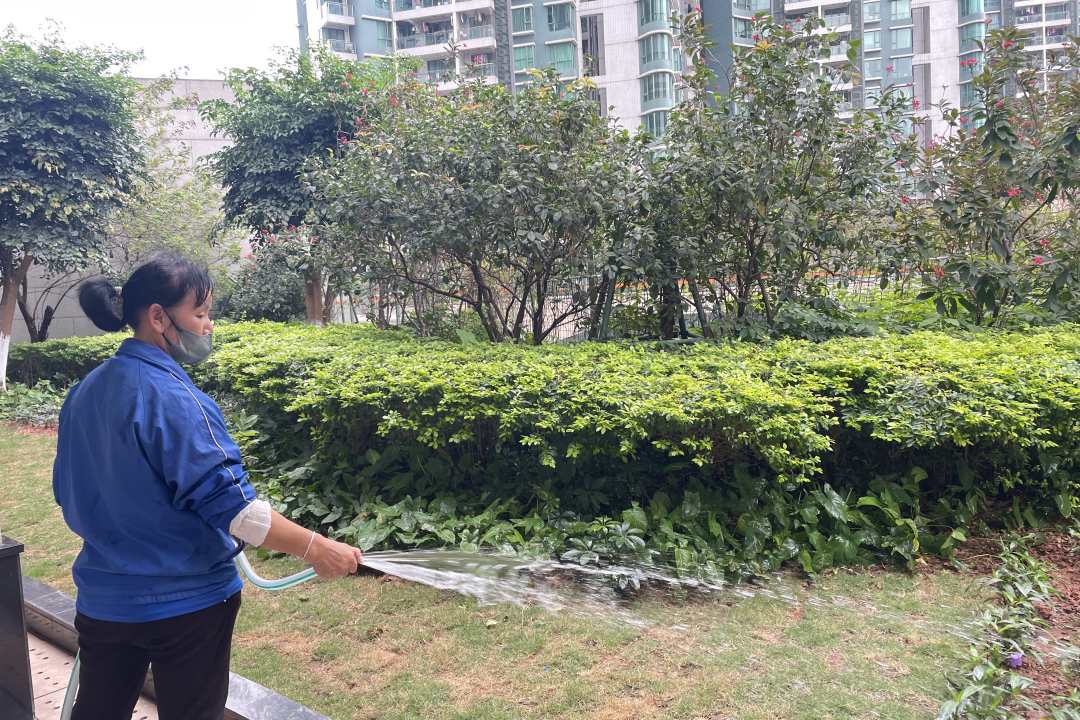 綠化養(yǎng)護(hù)澆水