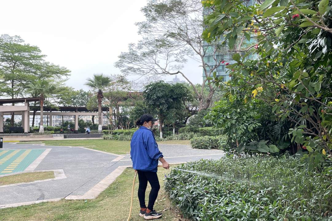 園林綠化養(yǎng)護(hù)澆水