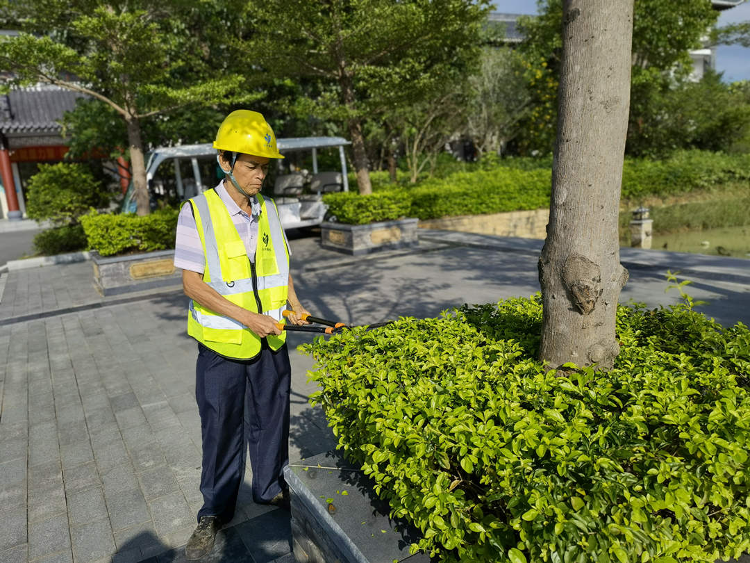 綠色動力廠區(qū)初夏綠化養(yǎng)護(hù)
