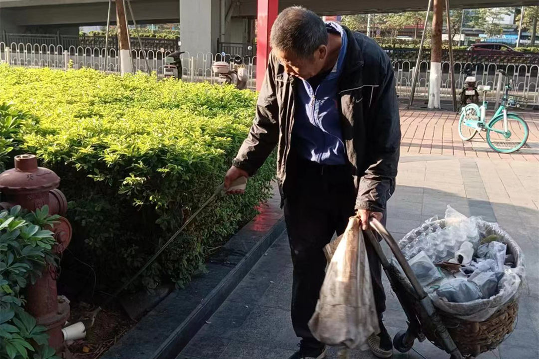 小區(qū)綠化養(yǎng)護清理枯葉