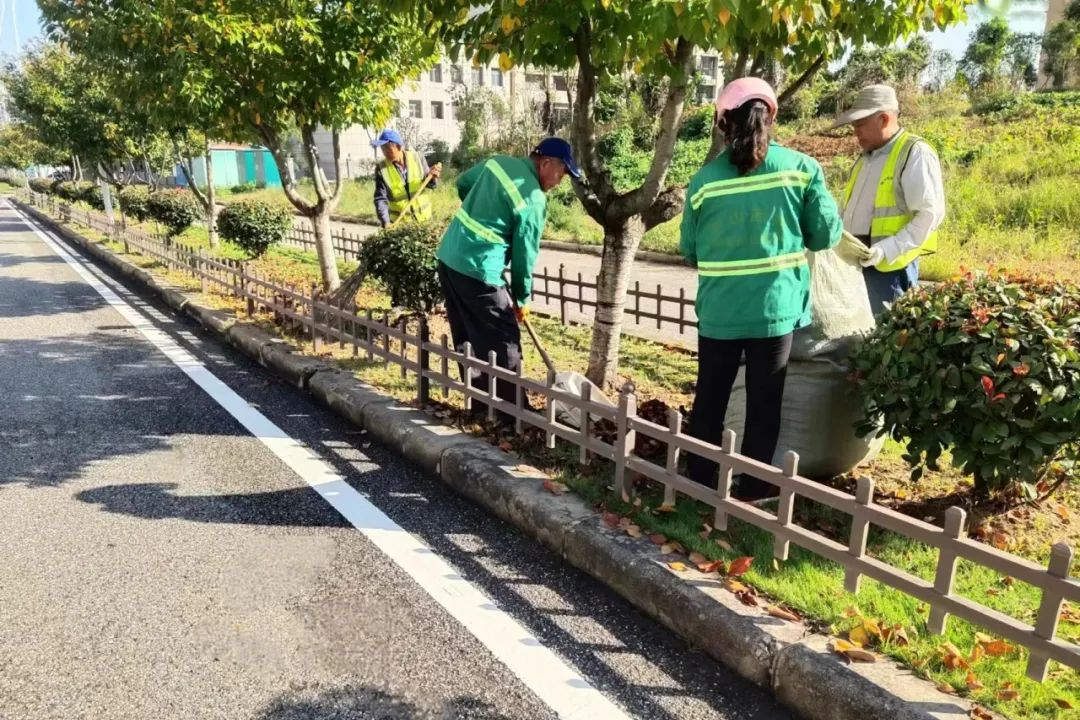 冬季園林綠化養(yǎng)護重要性