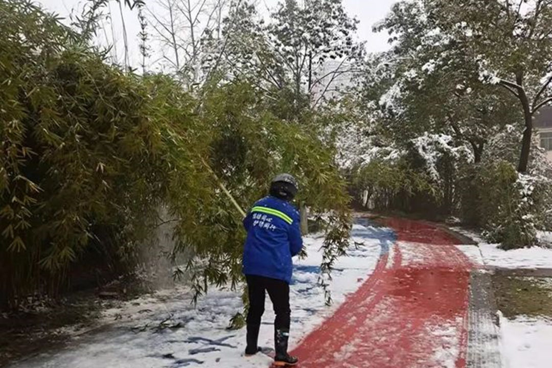 大雪過后的綠化養(yǎng)護